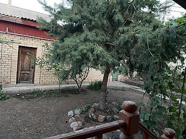 Долгосрочная аренда домов: 120 м², 4 комнаты — 10