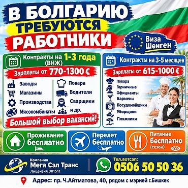 работа водитель с: Работа - Болгария, Строительство и производство, Питание — 1