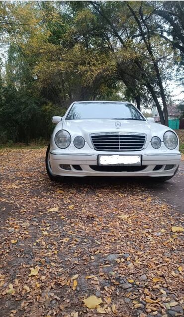 Mercedes-Benz: Mercedes-Benz E-Class: 2001 г., 4.3 л, Автомат, Бензин, Седан