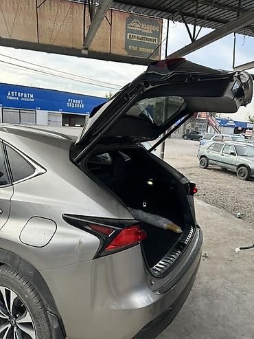 богажник нексия: Электропривод стойки/амортизатор крышки багажника для Lexus NX 300 — 2