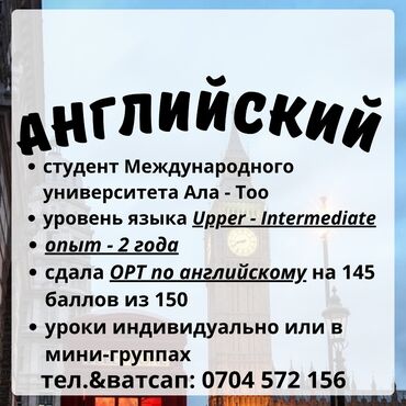 учитель арабского языка: Языковые курсы Английский Для взрослых, Для детей