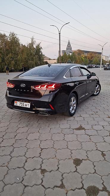 civic honda: Hyundai Sonata: 2018 г., 2 л, Автомат, Газ, Седан — 3