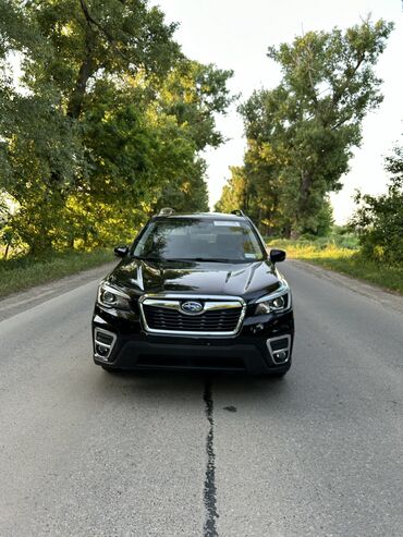 суббару форестер: Subaru Forester: 2019 г., 2.5 л, Вариатор, Бензин, Кроссовер
