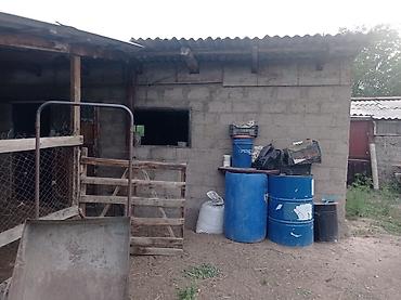 2 rooms: Продаю дом 3 ком и времянка 2 ком участок 8 соток,цена договорная - — 10
