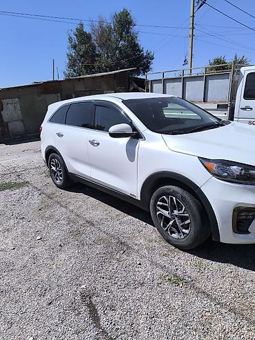 chery icar: Kia Sorento: 2020 г., 2.4 л, Автомат, Бензин, Кроссовер — 2