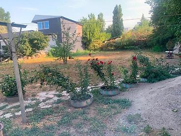 old bishkek: 4 комнаты, 190 м², 10 соток, Джал, Риэлтор — 10