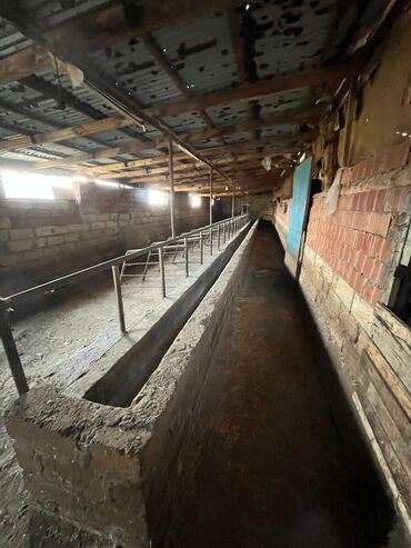 Torpaq sahələrinin satışı: Kənd təsərrüfatı — 23