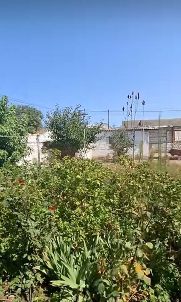 xacmazda kiraye evler 2021: 4 комнаты, 120 м², Свежий ремонт