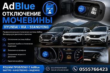 Профессиональное отключение системы AdBlue (мочевины) для дизельных
