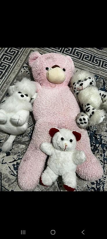 Boyuk olculu miskalar 3u birlikde satilir isteyene tek tekde lalafo.az -da Boyuk olculu miskalar 3u birlikde satilir isteyene tek tekde