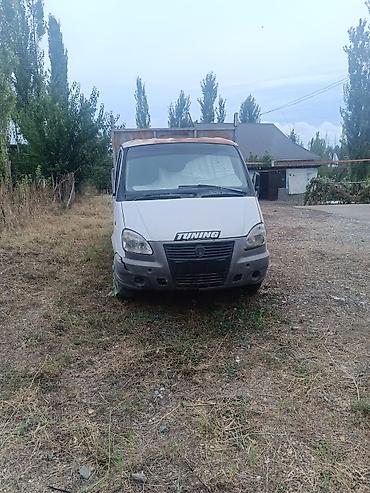 машина дом на колесах: ГАЗ GAZel 3302: 2008 г., Механика, Пикап — 2