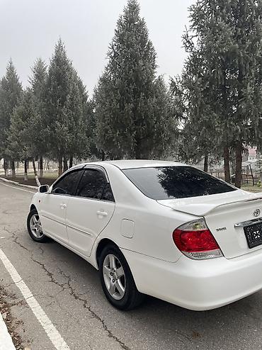 Toyota: Toyota Camry: 2004 г., 2.4 л, Автомат, Бензин, Седан — 10