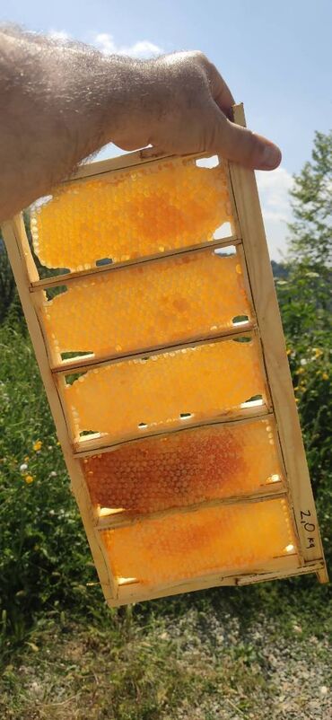 Bal: ELF BEE'S 1977 ECO-PRODUCT FOR HEALTH AND LONGEVITY Tovuzun -da lalafo.az — 23 Bal: ELF BEE'S 1977 ECO-PRODUCT FOR HEALTH AND LONGEVITY Tovuzun — 23