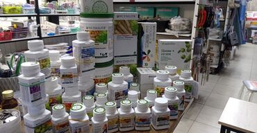 клубника в шоколаде бишкек круглосуточно: Ассортимент биологически активных добавок NUTRILITE, от AMWAY. Амвей