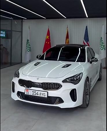 work kiwami: Kia Stinger: 2017 г., 3.3 л, Автомат, Бензин, Лифтбек — 7