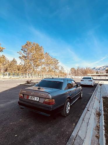 Mercedes-Benz: Mercedes-Benz W124: 1988 г., 3.2 л, Механика, Бензин, Седан — 5