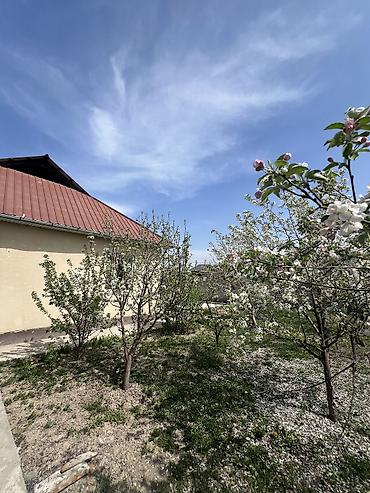 Продажа коттеджей и домов: Продаётся уютный дом 🏡 📍 Тихий, живописный район ▪️ 111 м², участок 5 — 3