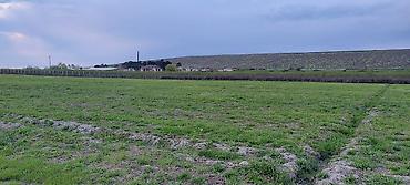 Torpaq sahələrinin satışı: 200 sot, Kənd təsərrüfatı — 7