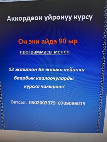 моторчик 12 вольт: Уроки игры на аккордеоне Онлайн, дистанционное