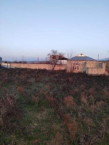 Bağ evlərinin satışı: Şirvan şəhər Hacıqəhrəmanlı qəsəbəsi Fərman quliyev küçəsi Həyətyanı — 5