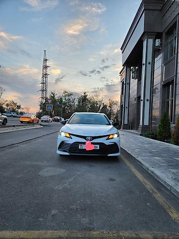 Toyota: Toyota Camry: 2021 г., 2.5 л, Вариатор, Бензин, Седан — 4