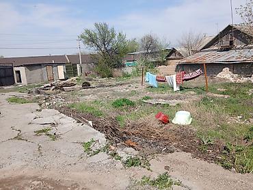 Продажа коттеджей и домов: Продаётся жилой дом с приусадебным участком.С двумя документа сразу — 5