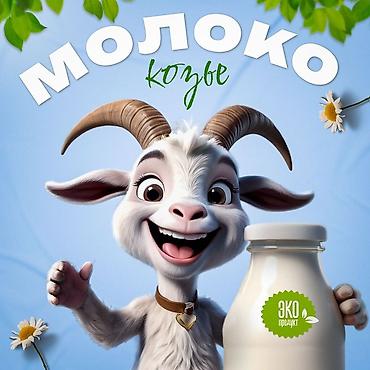 Козье молоко — натуральный эко‑продукт Описание: - Свежие молочные at lalafo.kg Козье молоко — натуральный эко‑продукт Описание: - Свежие молочные