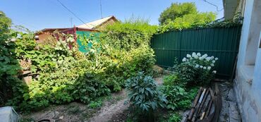 Продажа домов: Полдома, 54 м², 3 комнаты, Собственник, Старый ремонт — 12