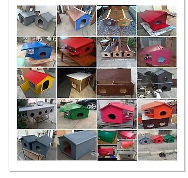 pincer sobaka: İt pi̇şi̇k evleri̇ domoki̇ dlya koşek i̇ sobak .Evleri̇n qi̇ymeti̇ — 1