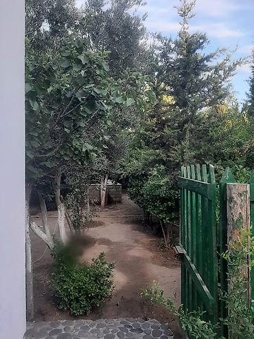 8 mikrorayon: Bakı, 90 kv. m, 2 otaqlı, Hovuzlu, Su — 1