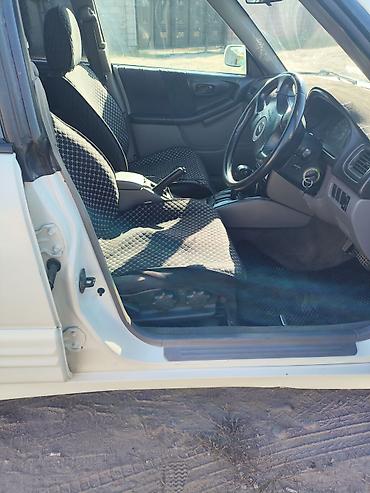 фф олд акк: Subaru Forester: 2001 г., 2 л, Автомат, Бензин, Универсал — 5