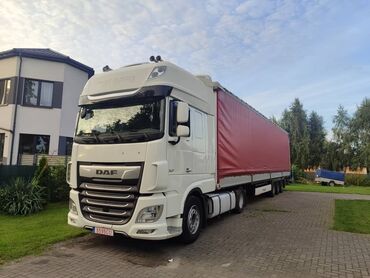 покрышка от трактора: Тягач, DAF, 2019 г., Шторный