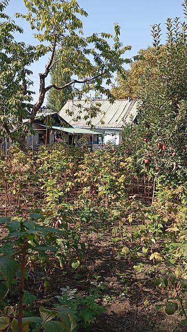 в воронцовке: 4 комнаты, 40 м², 15 соток, Бишкек, Таш-Добо ж/м Собственник — 8