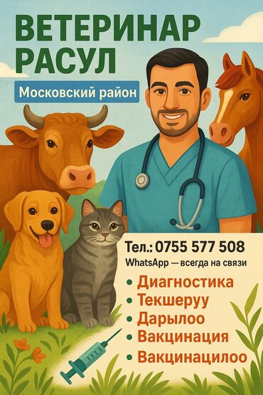 животные для дома: 🐄 Ветеринар Расул 📍 Московский район 🔸 Беловодск 🔸Садовое