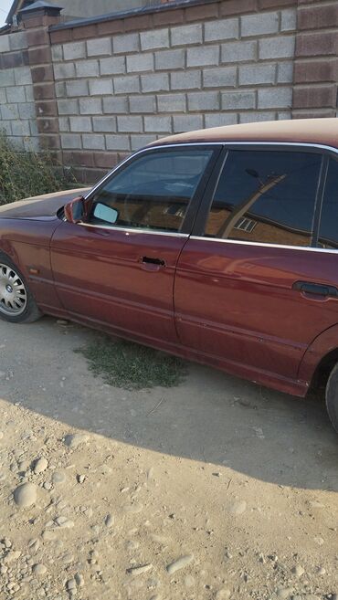 виндом 1999: 300000