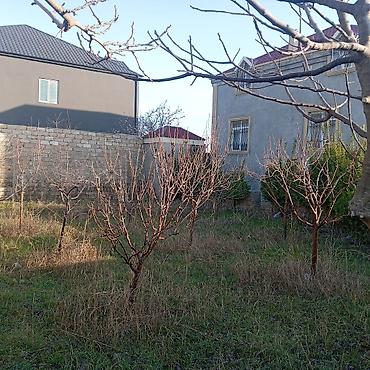 koroğlu: Qala qəs. 5 otaqlı, 120 kv. m — 6