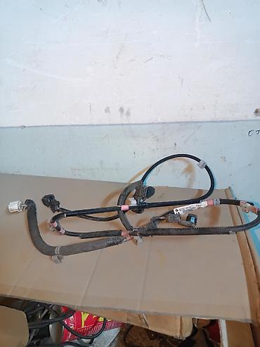 Коса парктроник соборе с датчиками Toyota Rav 4 V 2