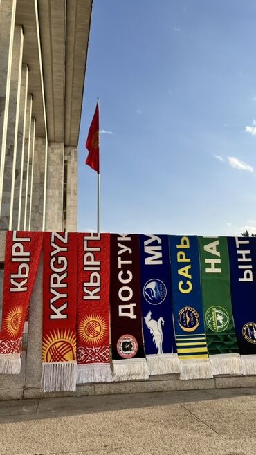 Шарфы, палантины: Изготавливаем на заказ Шарфы для фанатов, съездов политических партий — 23