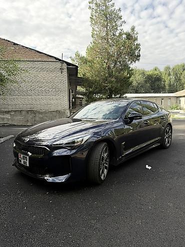 перекурить авто: Kia Stinger: 2020 г., 2 л, Автомат, Бензин, Фастбек — 2