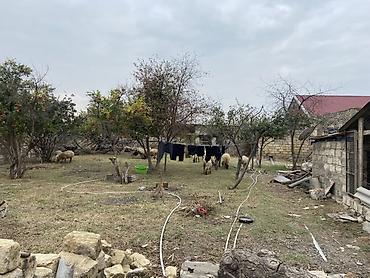 ev və bag: 5 otaqlı, 300 kv. m, Kredit yoxdur, Təmirsiz — 8