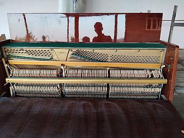 xudu saz evi: Pianino – şaquli, 3 pedal, klassik ağac korpus - Korpus: cilalanmış — 2