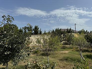 Həyət evləri və villaların satışı: Mərdəkan 8 otaq, 200 kv. m, Kredit yoxdur, Yeni təmirli — 3