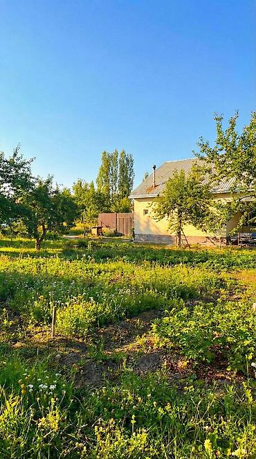 Продажа дач: 🏡🔥 ДАЧА У РЕКИ | АРАШАН 🌊⛰️ 📍 Закрытый кооператив “Предгорный” ✅ — 5