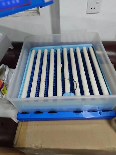 Inkubator inqibator inkibator inqubator incubator Ən Yeni Expert model — 9