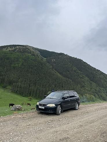 одиссей гур насос: Honda Odyssey: 2000 г., 2.3 л, Автомат, Газ, Универсал — 2