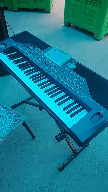 elektron gitara qiymetleri: Sintezator, Korg, Yeni, Ödənişli çatdırılma, Ünvandan götürmə — 1