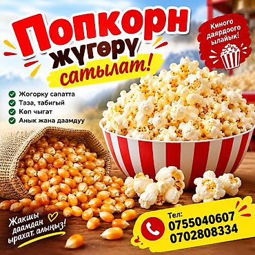 миф порошок цена бишкек: Жүгөрү Дүң — 1