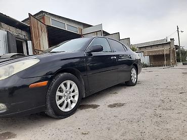 Lexus: Lexus ES: 2003 г., 3.3 л, Автомат, Газ, Седан — 4