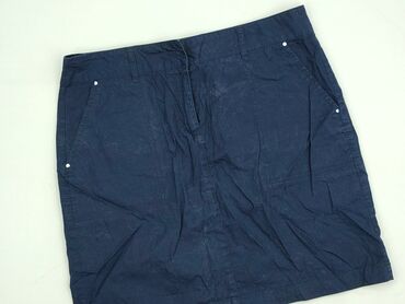 spodnica midi lidl: Dorothy Perkins, Women`s skirt, size L (EU 40)