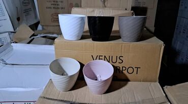 Digər gözəllik və sağlamlıq xidmətləri: Dibcek ucun hasar ceper gul ucun ceper hasar dibcekler ucun hasar -da lalafo.az — 19 Digər gözəllik və sağlamlıq xidmətləri: Dibcek ucun hasar ceper gul ucun ceper hasar dibcekler ucun hasar — 19